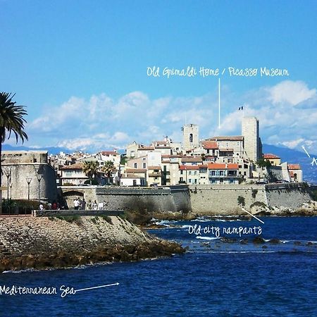 2 Bedroom Modern Apartment In Antibes With Sea View Buitenkant foto